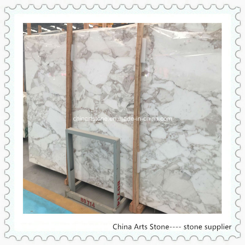 Calacatta White Marble Slab for Tiles