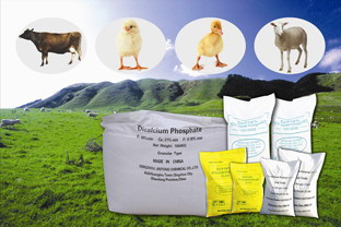 Fedd Grade DCP, MDCP, Mcp, Monocalcium Phosphate