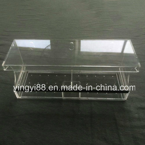Newest Acrylic Window Bird Feeder