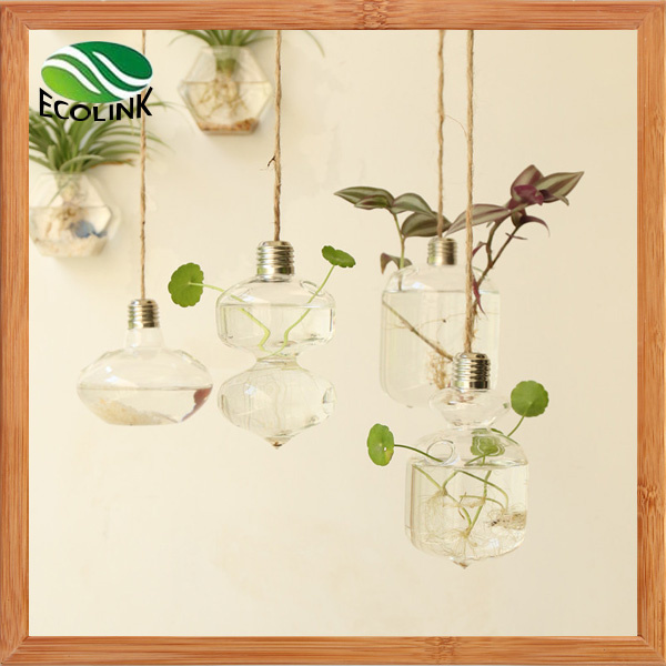 Hanging Glass Vase Water Flower Vases