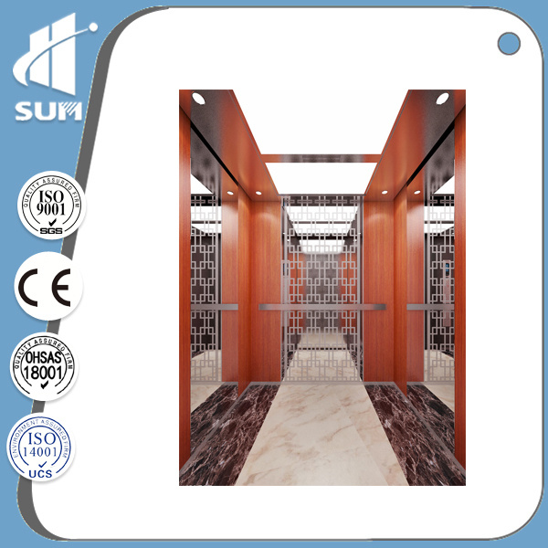 with Ard Ce Approved Center Opening Door Passenger Elevator