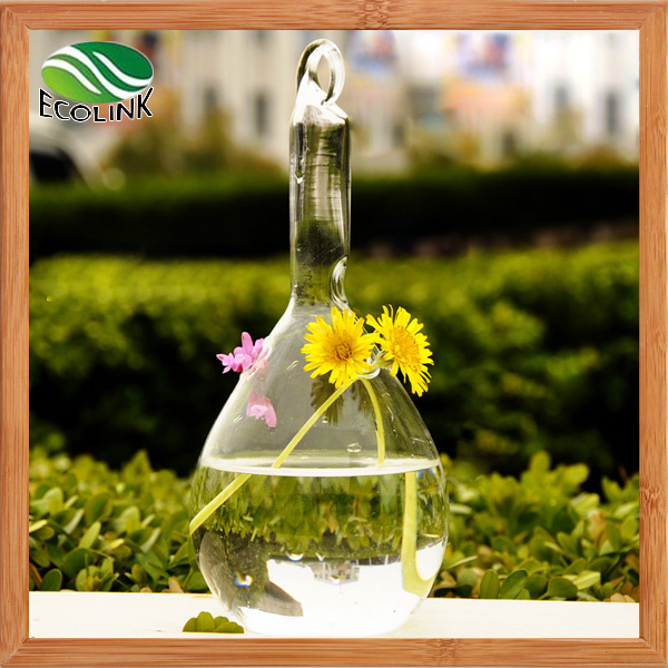 Transparent Crystal Glass Hanging Vases