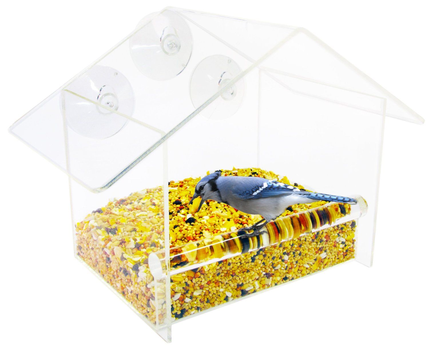 Squirrel Proof Acrylic Window Bird Feeder