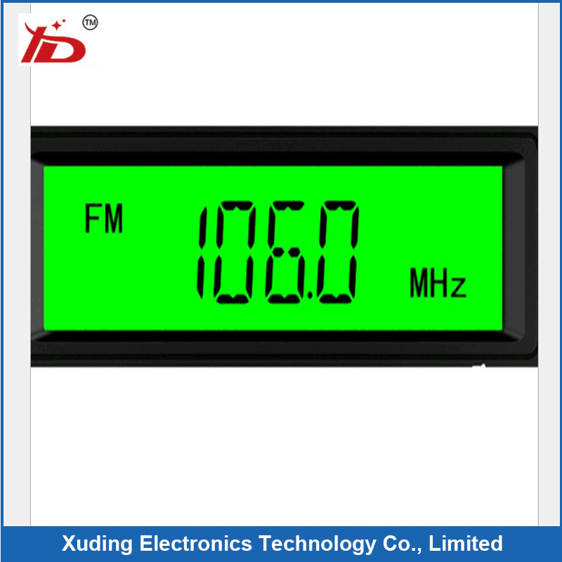 Instrument LCD Display with Character Negative