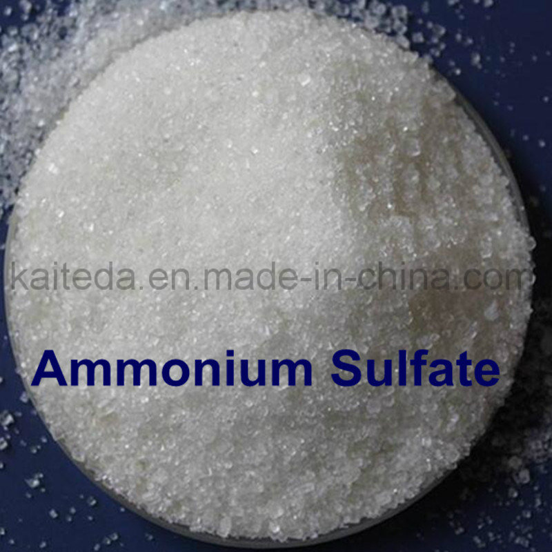 Powder (NH4) 2so4 Ammonium Sulphate as Fertilizer