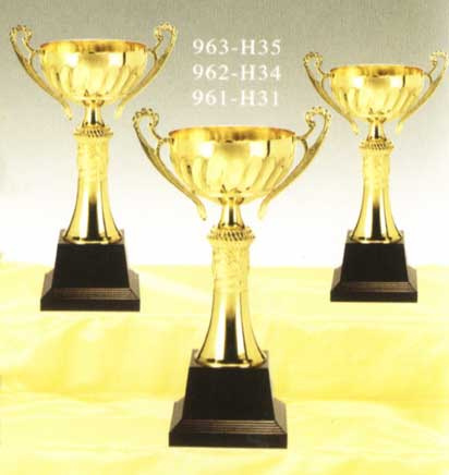 Sports Trophy