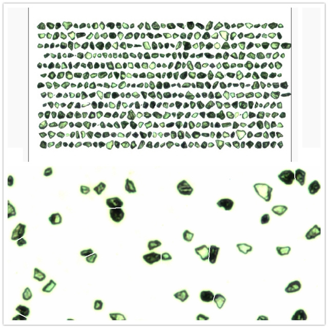 DMP-C Synthetic Diamond Powder for Industrial for Abrasive Compound