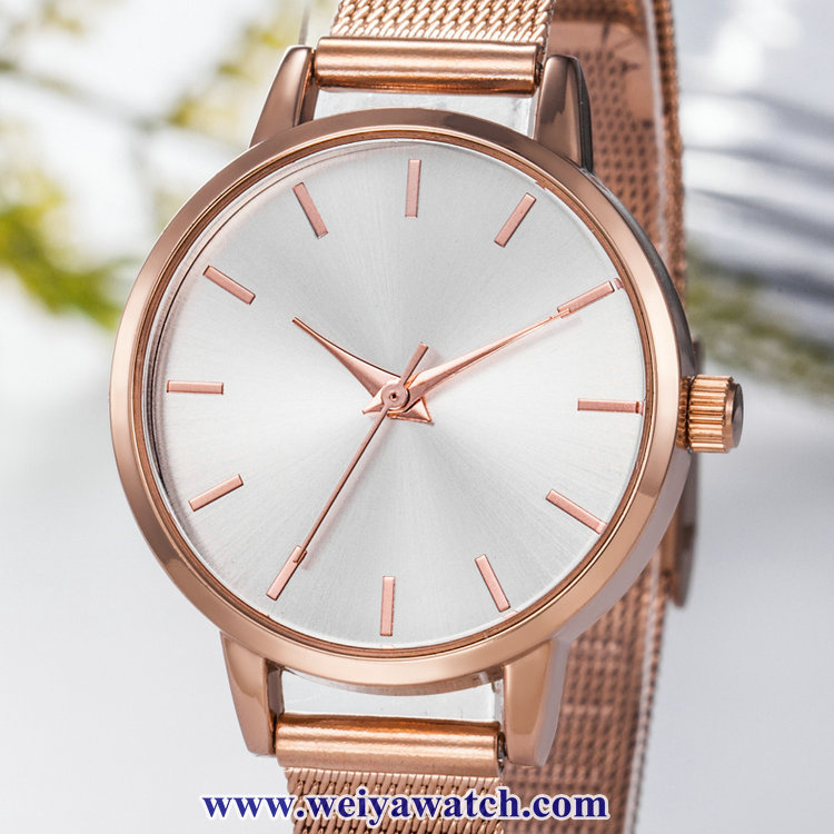 Mesh Alloy Strap Ladies Quartz Wist Watches, Lady Watch (WY-17035B)