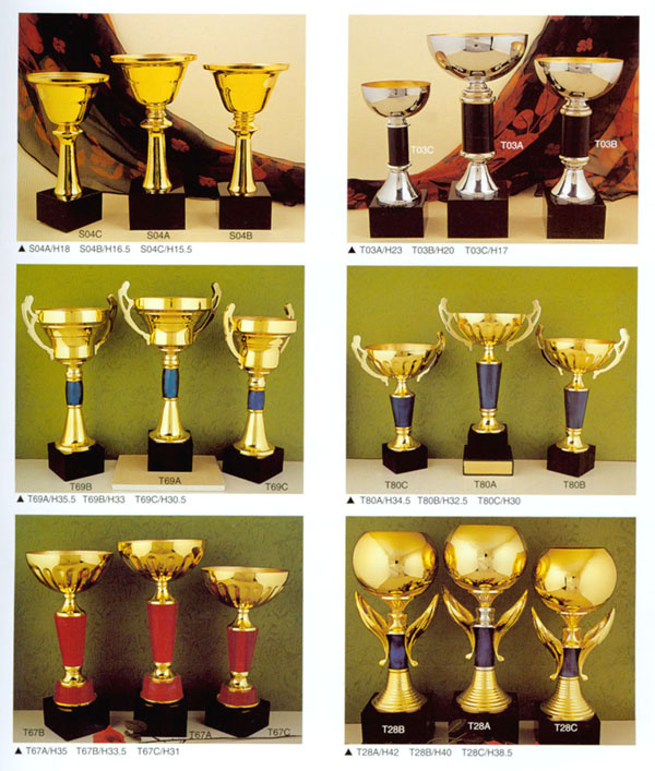 Sports Trophy