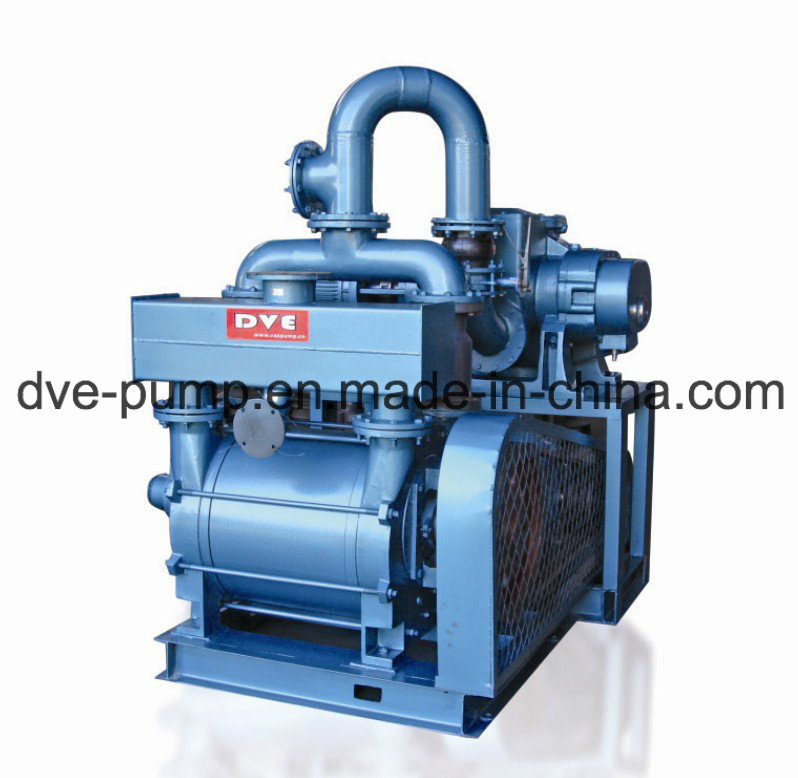 Roots Pump with Water (Liquid) Ring Pump Vacuum System