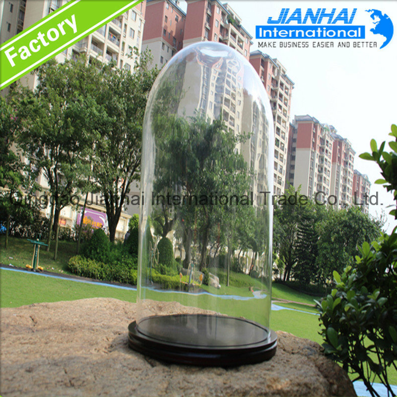 Clear Glass Bell Jar with Wooden Base