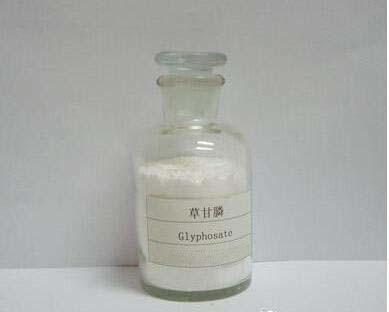 41% SL 480g/L 360g/L Glyphosate Herbicide
