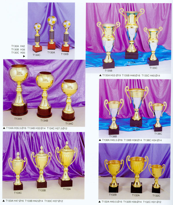 Sports Trophy