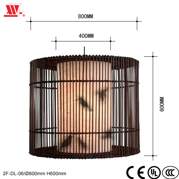 New Steel Pendant Lamp 2f-Dl-06