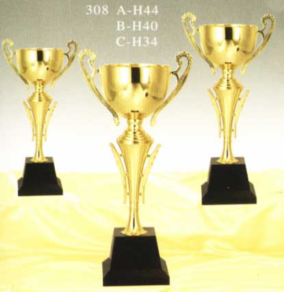 Sports Trophy