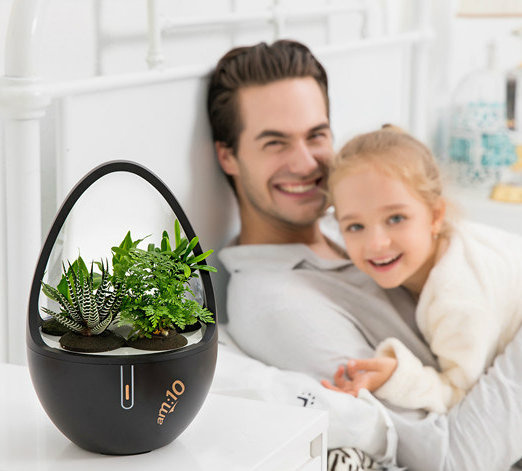 Aroma Diffuser Small Air Purifier with Plant-Extracted Crystal, Negative Ions
