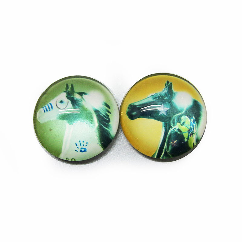 Custom Fashionable Glass Fridge Magnet for Promotion Gift Hx-7191