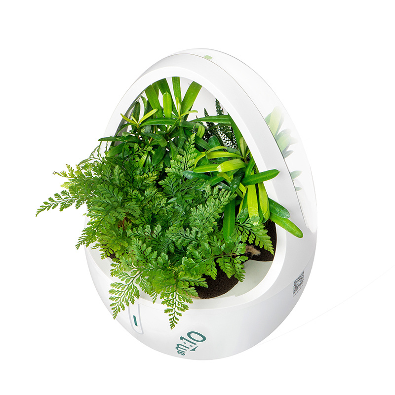 Indoor Garden with Soiless Cultivation Plant-Based Aroma Diffuser with Plasma