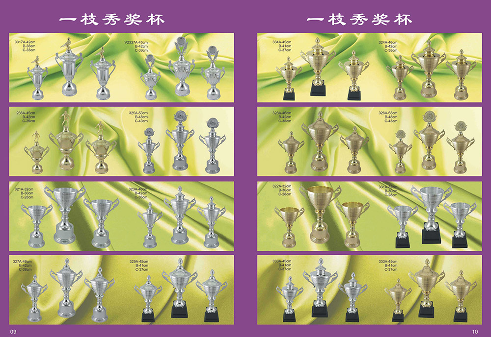 Sports Trophy