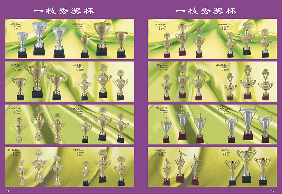 Sports Trophy
