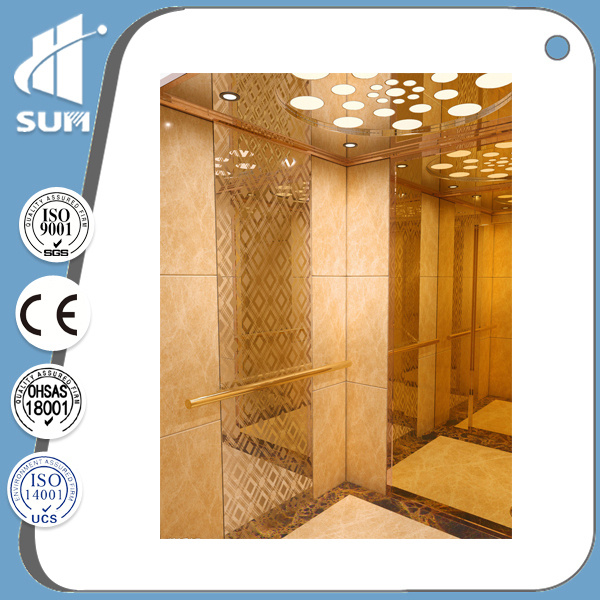 China Manufacturer Vvvf Stainless Steel Cabin Residential Elevator