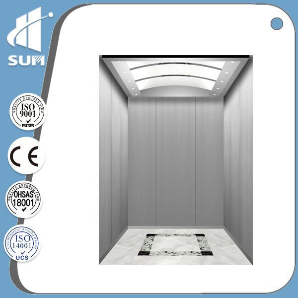 Warranty 2 Years Stainless Steel Cabin Passenger Elevator for Export