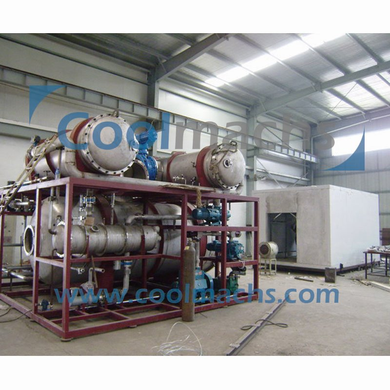 Vacuum Freeze Dryer Machine/Fruit Vacuum Freeze Dryer