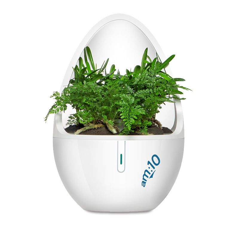 Desktop Indoor Aroma Diffuser with Negative Ions, Plant-Extracted Aroma Crystal