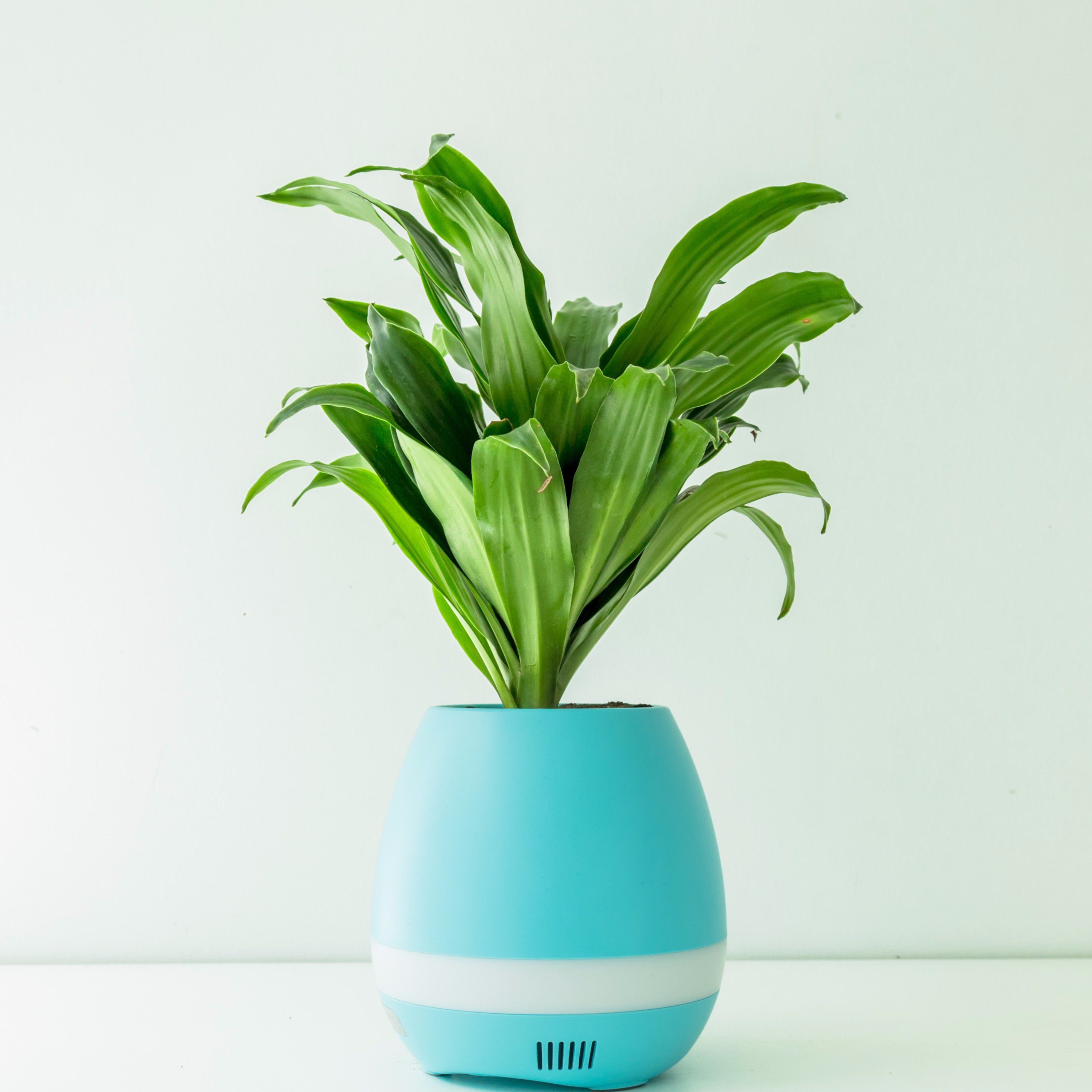 Bluetooth Speaker, Mini Air Purifier Supporting Negative Ions, Aroma Crystal and Night Light