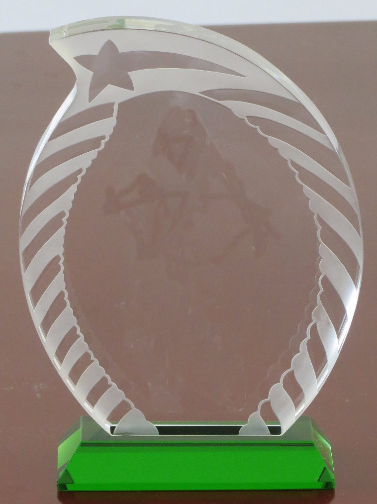Superb Leaves Crystal Trophy-Green Base