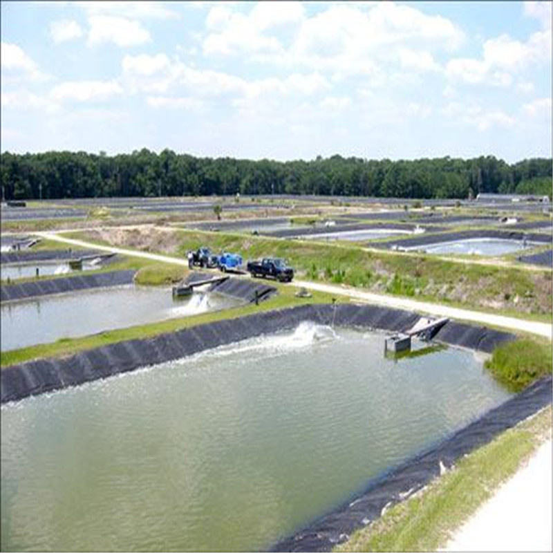 Waterproof Membrane Material Pond Liner HDPE Geomembrane