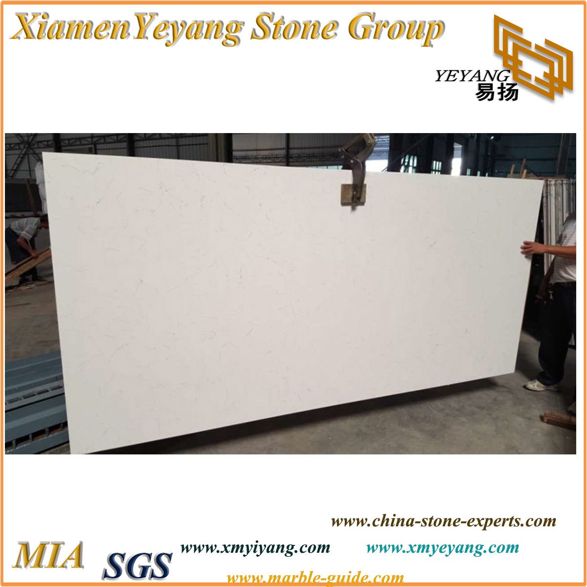White Carrara/Statuario/Calacatta Quartz Slabs and Countertops