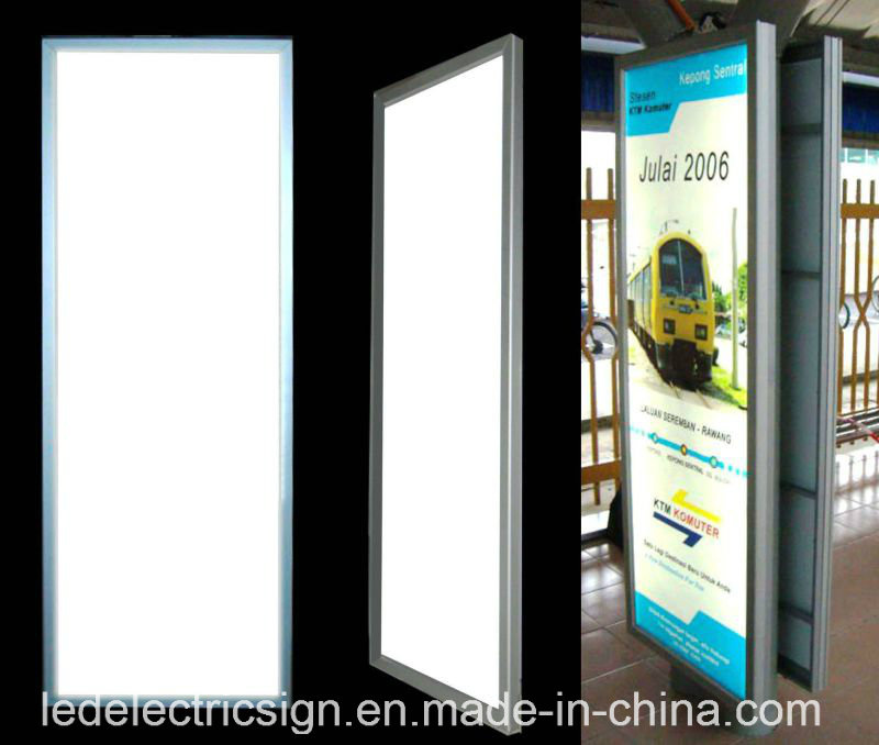 The Glowing Light Box for Advertising