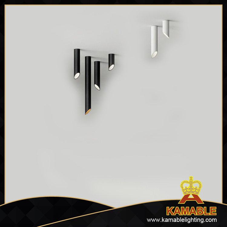 Modern Aluminun Iron LED Ceiling Lamp (MB-3014/2)