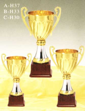 Sports Trophy