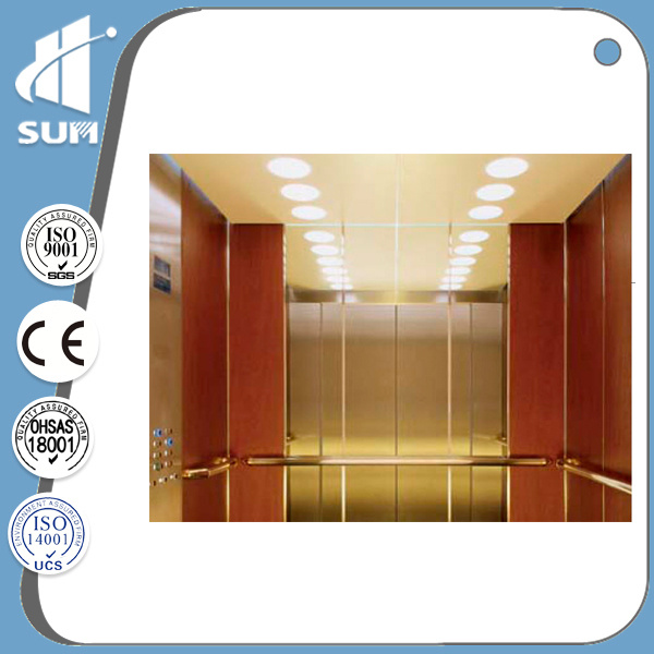 Ce Approved Commercial Building Using Residential Elevator