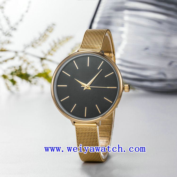 Stainless Steel Promotion Watch Vogue Ladies Watch (WY-17037B)