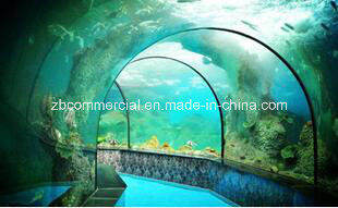 Acrylic Sheet Acrylic Plate for Acquarium/Fish Tank