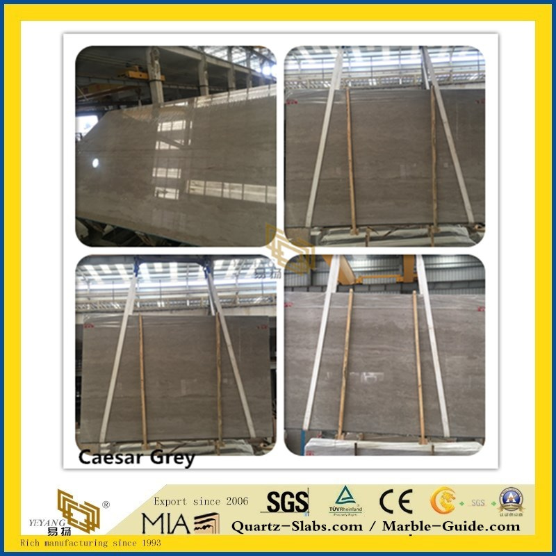 Natural Polished Caesar Grey Stone Marble for Kitchen/Bathroom/Wall/Flooring/Step/Tile/Cladding