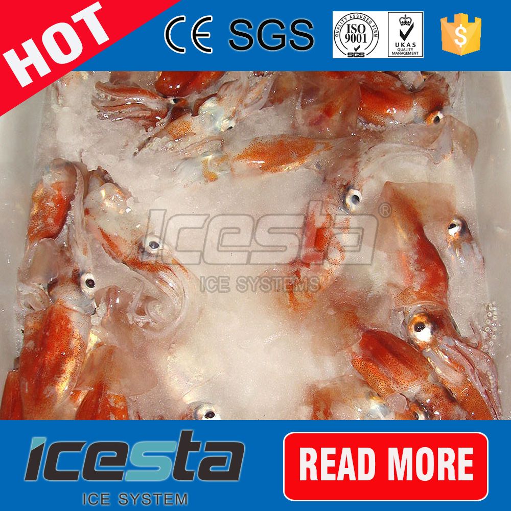 Hot Selling Stainless Steel Large Supermarket Slurry Ice Maker