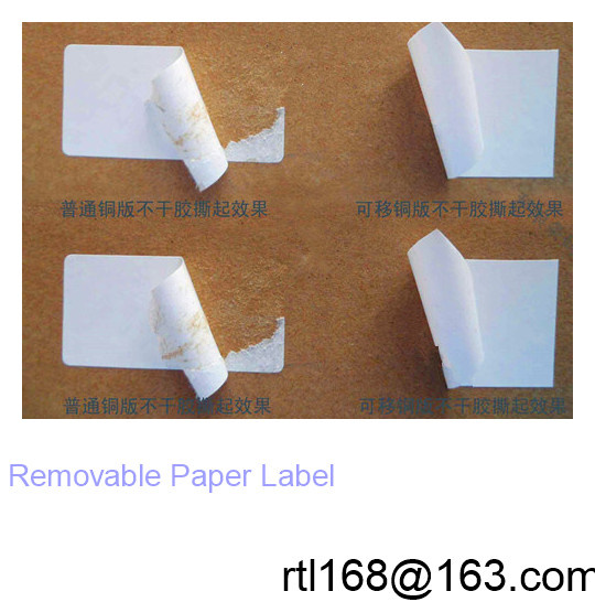 Mass Production Supply Can Move The Coated Paper Label