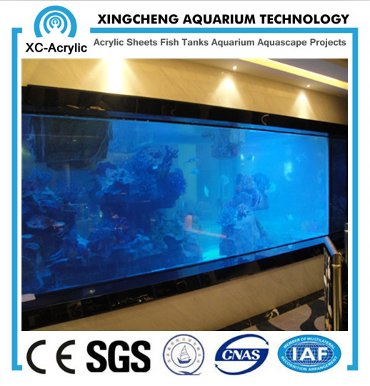 Hotel Aquarium