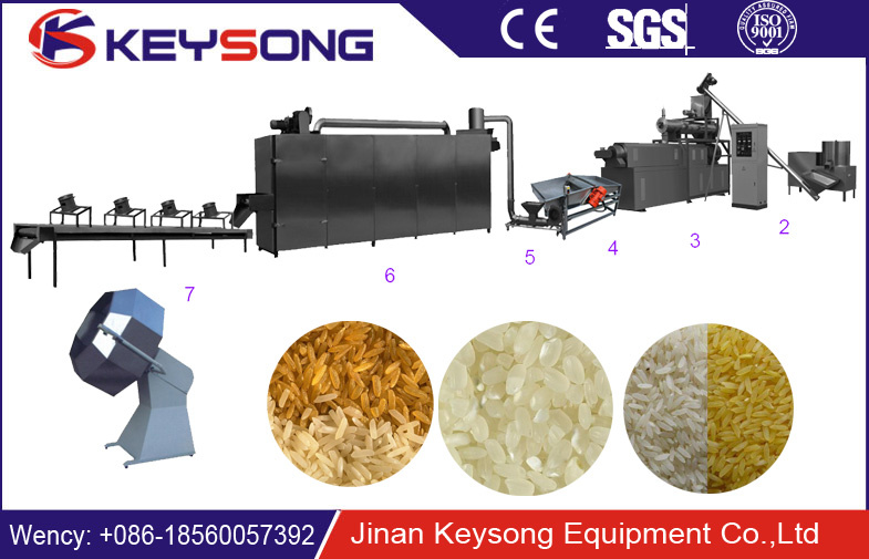 High Capacity Broken Rice Made Nutritional Food Artificial Rice Extruder
