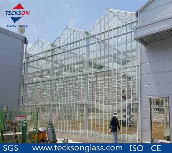 Low-Iron Clear Float Glass for Building Glass