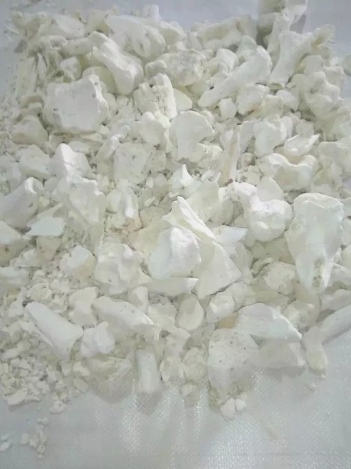 Bone Carbon Powder