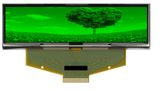 3.12-Inch Wide Temperature Pm OLED High Contrast Ratio 10000: 1