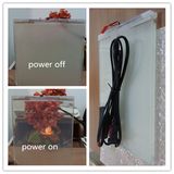 Laminated Smart Glass/ Switchable Privacy Glass / Intelligent Glass