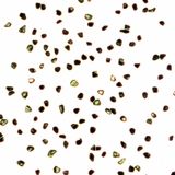 High Quality Synthetic Diamond Powder with Competitive Price