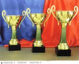 Sports Trophy