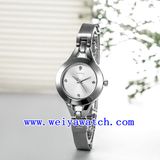 Custom Design Watch Alloy Wrist Watches (WY-021C)